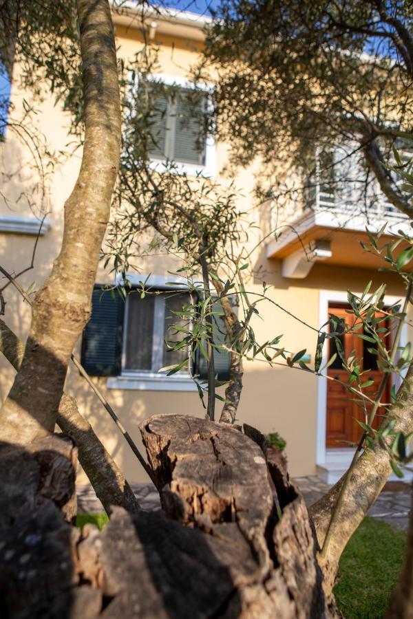 Vk Villas Apolpaina Exterior photo